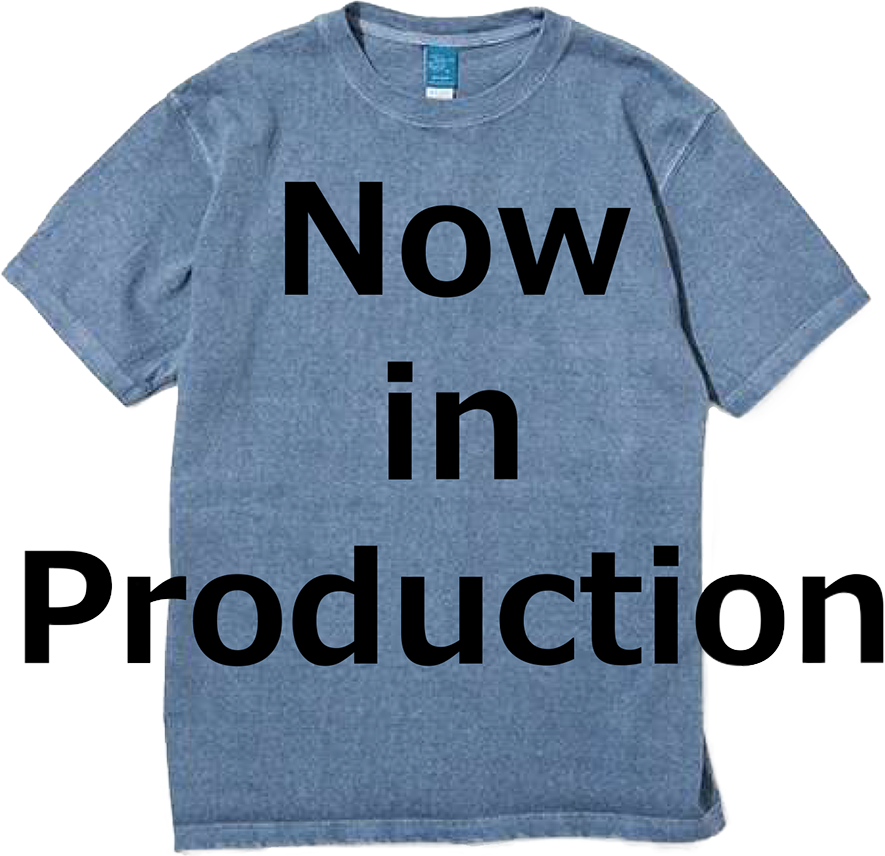 稲妻フェスティバル プレミアムTシャツ